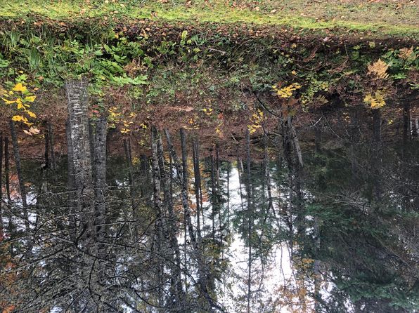 Millecoquins Real Estate Millecoquins Engadine Homes For Sale Zillow