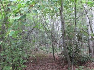 576 Patton Thicket Rd, Burnsville, NC 28714