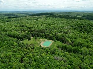 0 M Elston Rd, Van Etten, NY 14889