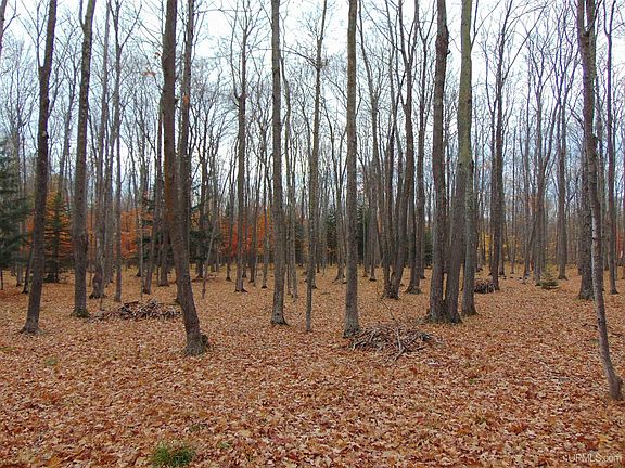 2nd image of 1 N Superior Rd