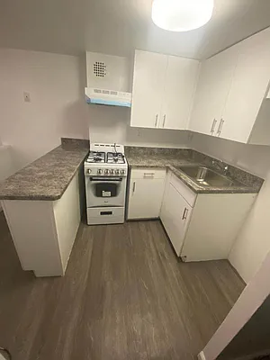 Rented by Voro NYC | media 29