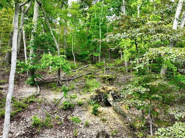 1 Ridge Top Rd, Stewart, TN 37175