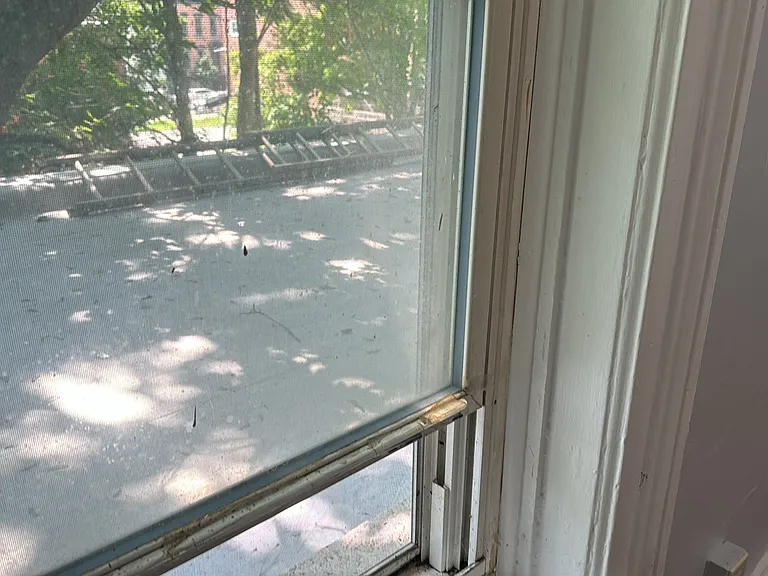 324 Hudson Ave #3 — Photo 16