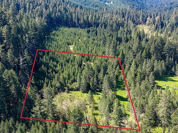 3rd image of Berry Creek Rd