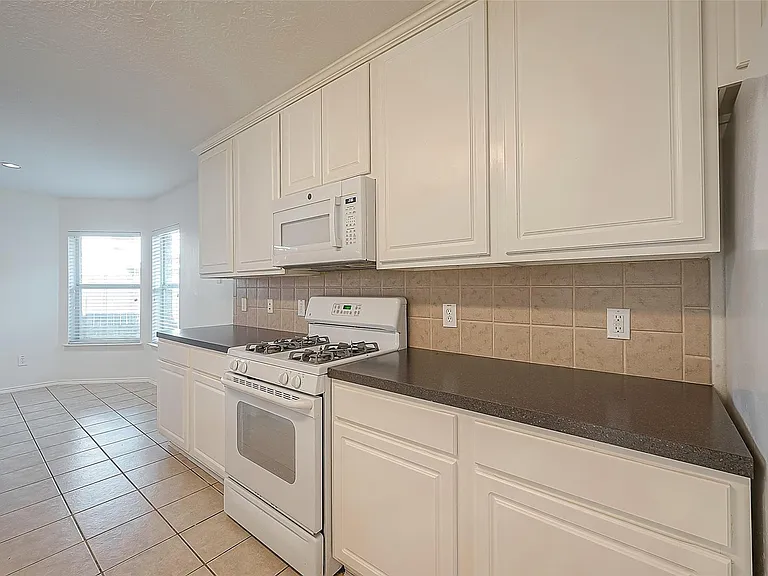 17210 Double Lilly Dr — Photo 17
