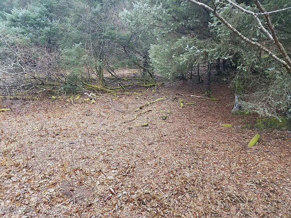 1st image of 407 Hillside Dr