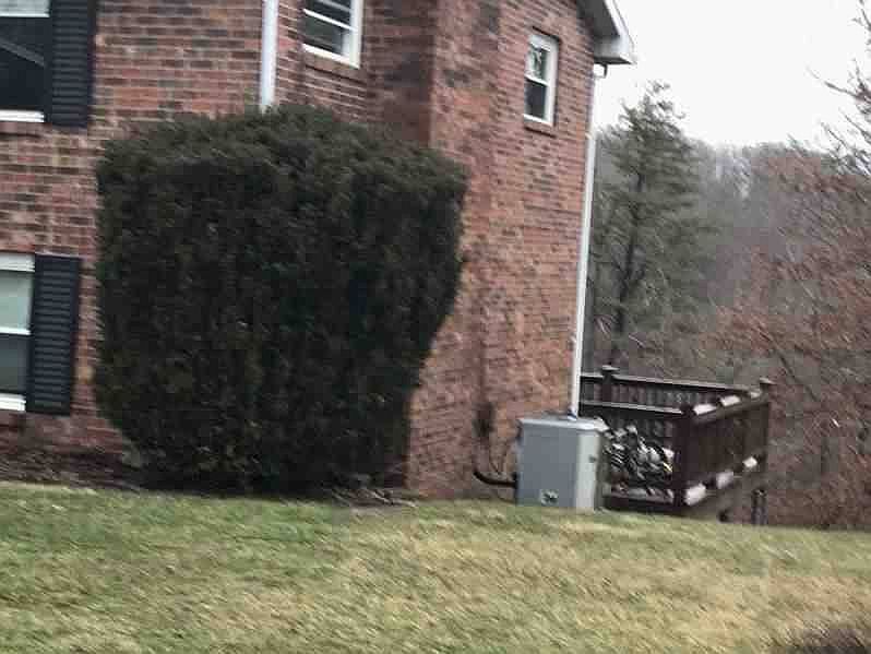 2nd image of 287 Wakefield Dr