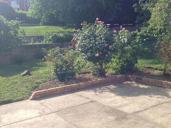 Backyard / Patio Area