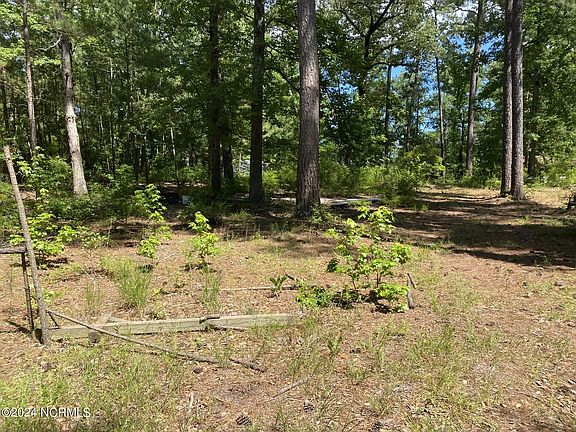 3rd image of 33 Shelter Creek Drive