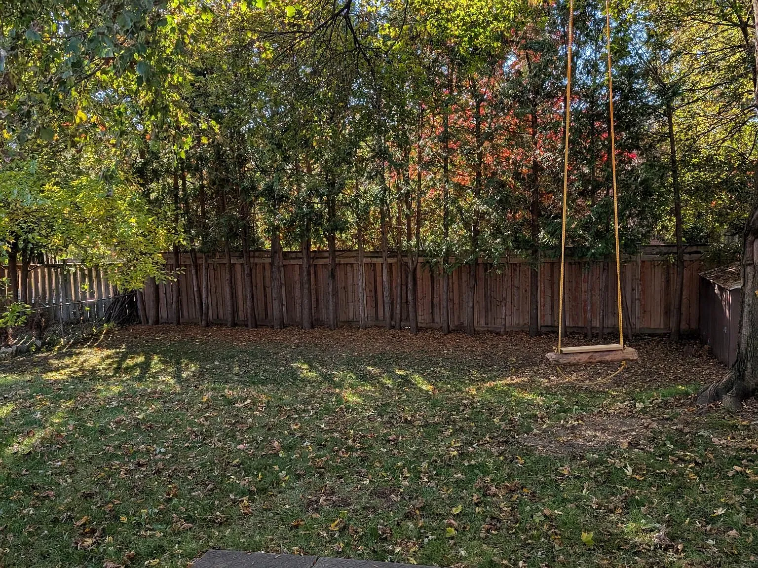 3 bed, $3,400 — Photo 4