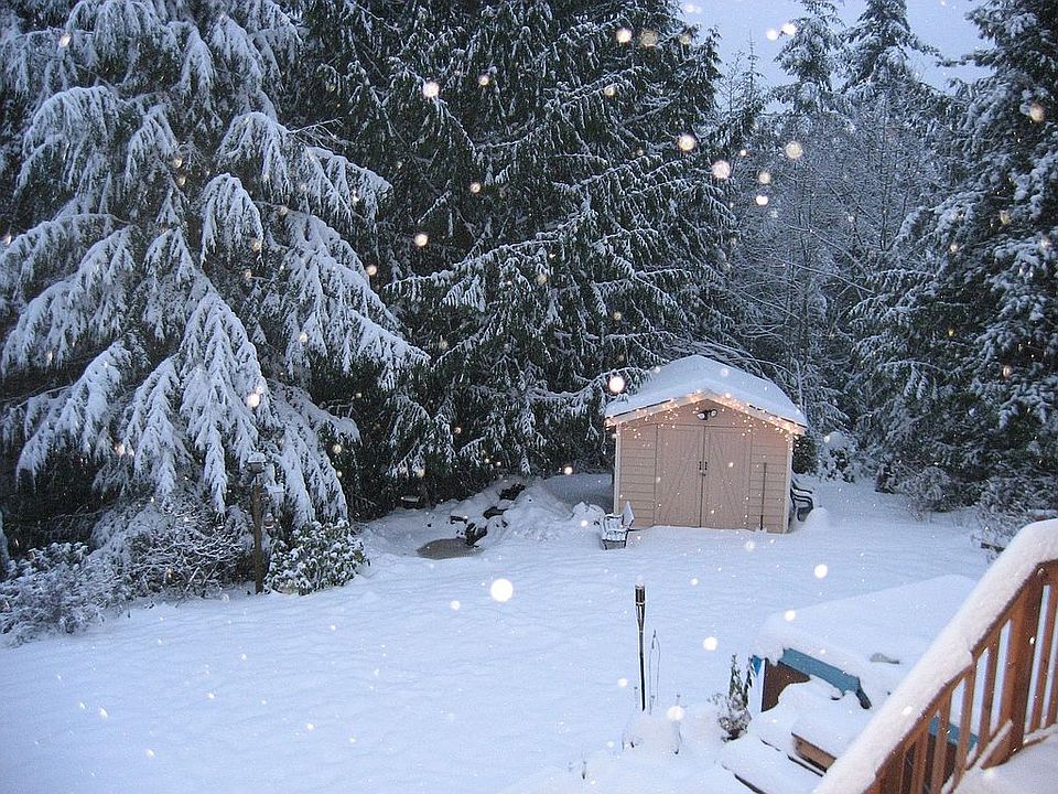Shed in Winter