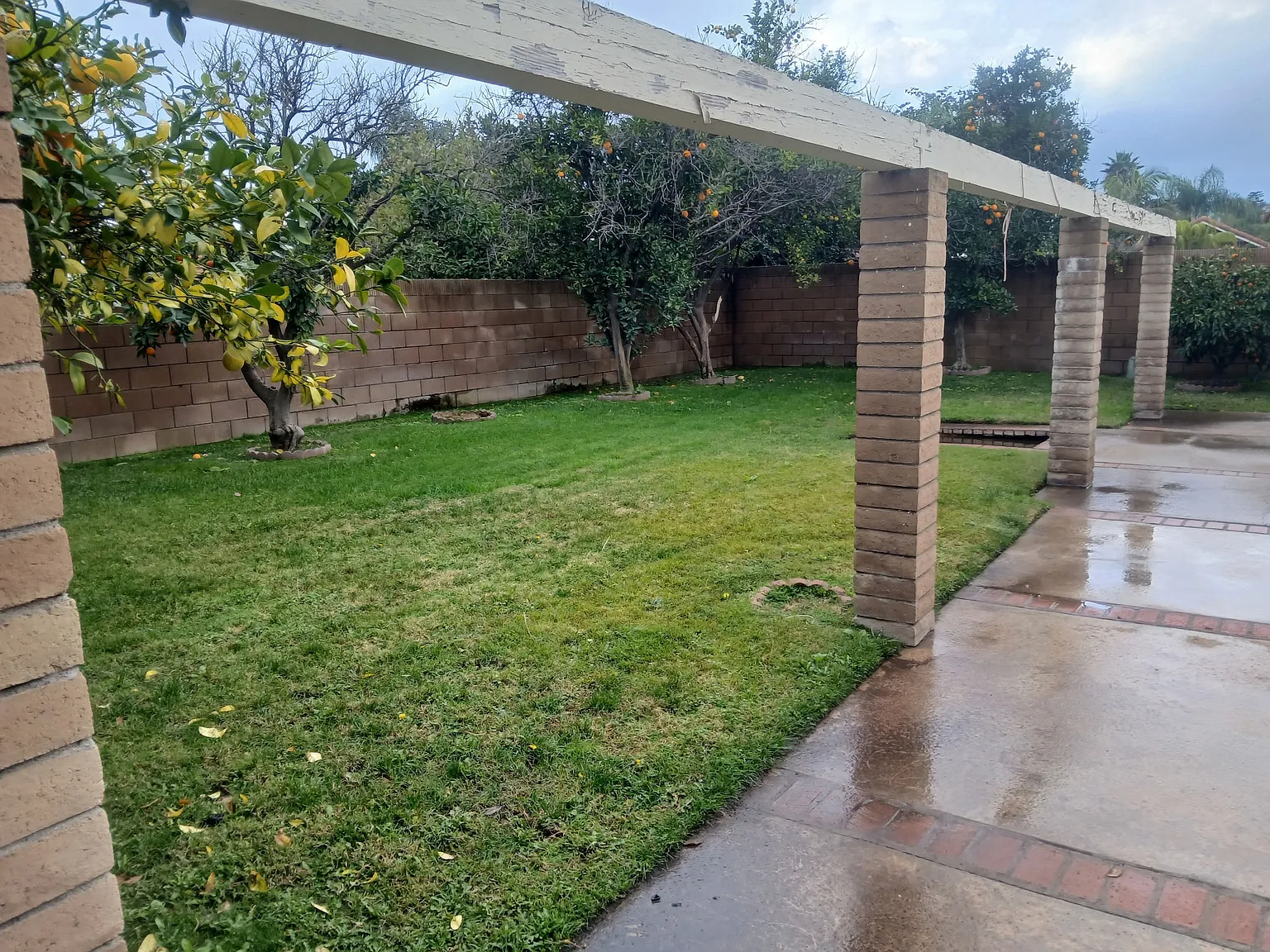 3 bed, 1469 sqft, $3,800 — Photo 2