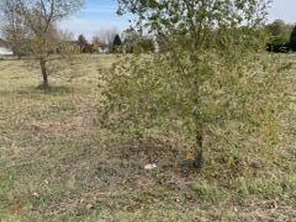 0 Guelph Ct, North Branch, MI 48461