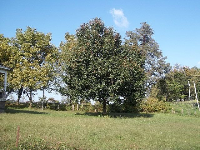 2nd image of 654 Robinson Rd