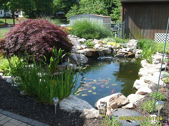 Koi Pond