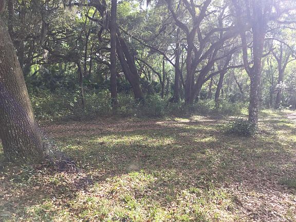 5th image of 781 River Forest Ln