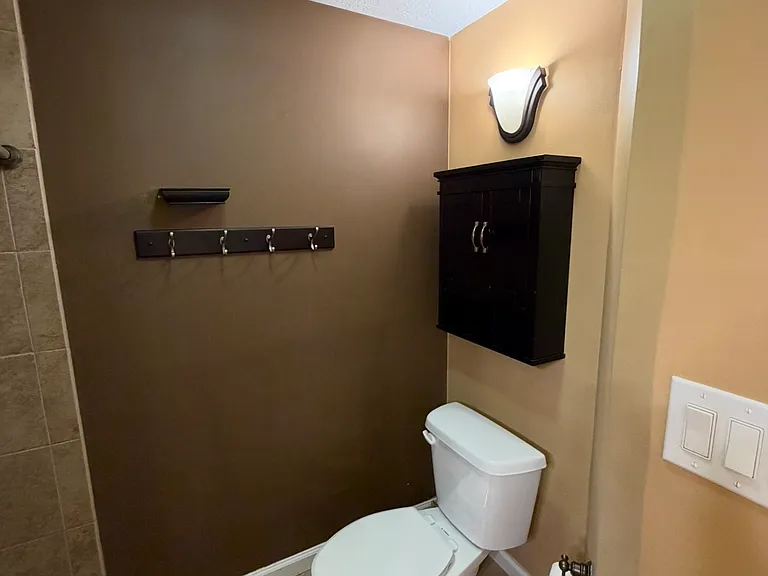 10680 S Carrington St — Photo 25