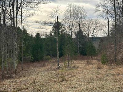 Lots 39 And 40 Chianti Ct, Davis, WV, 26260