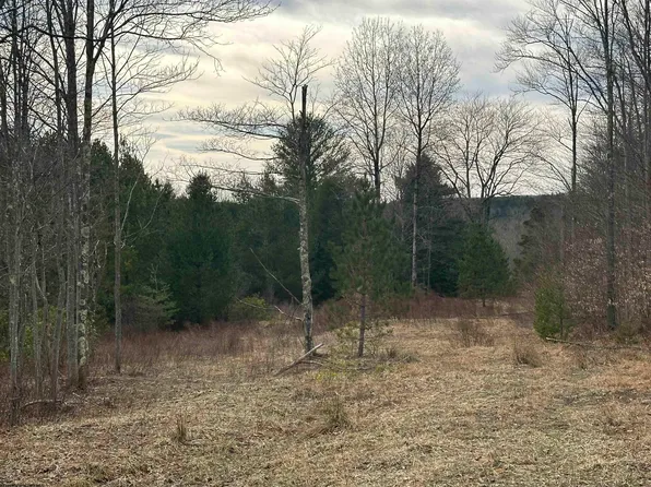 Lots 39 And 40 Chianti Ct, Davis, WV 26260