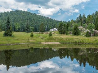 37525 Buffalo Park Rd, Evergreen, CO 80439