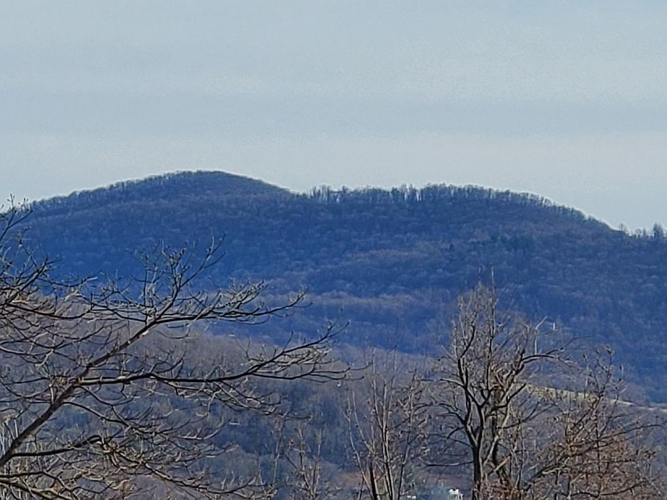 LOT & 33 Arrowood Rd 31, Linden, VA 22642 MLS VAWR2007272 Zillow