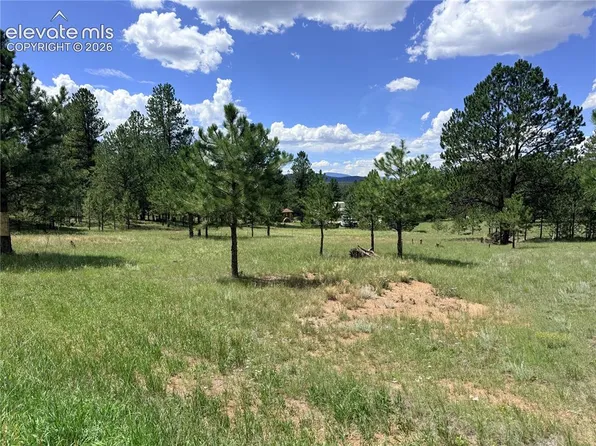 189 Rhyolite Ln, Florissant, CO 80816