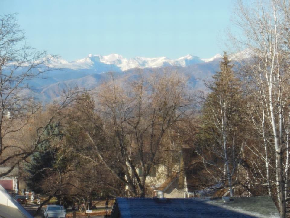 our back yard view