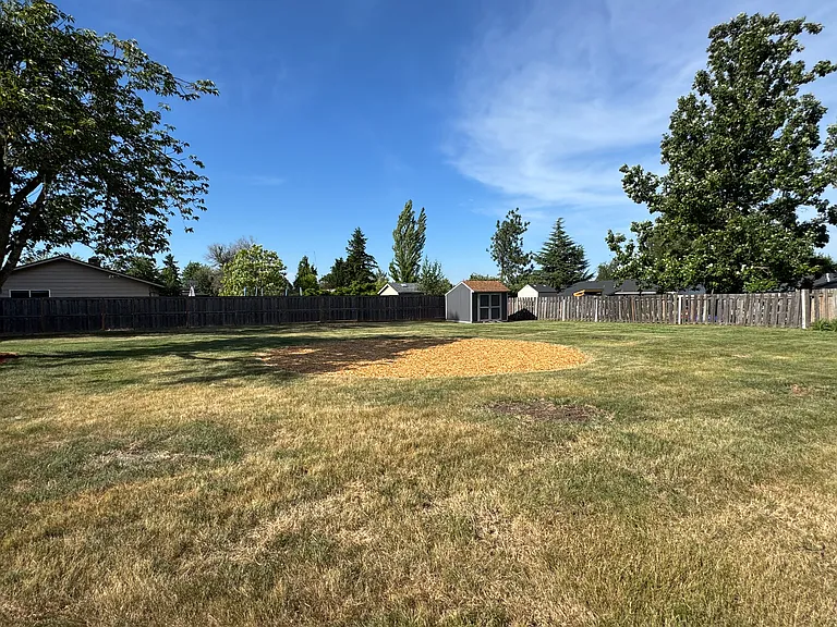 Oversized yard with designated entertainment or play area