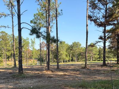 Shellcraker Dr Lot 10, Lucedale, MS, 39452