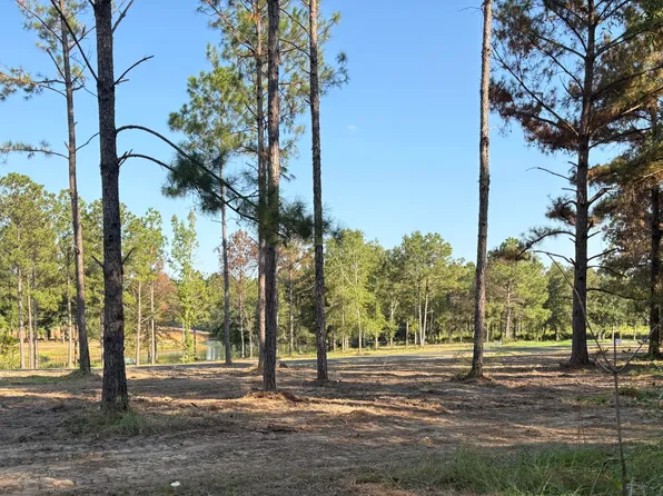 Shellcraker Dr Lot 10, Lucedale, MS 39452