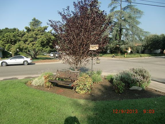 4th image of 304 E Deodar St
