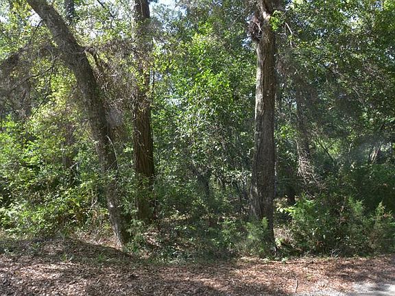 4th image of 2010 Palmetto Cove (L-10) LOT 10