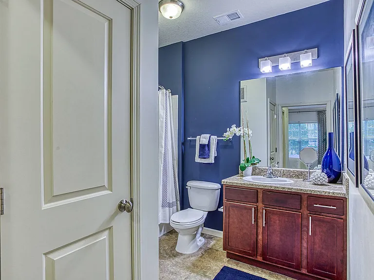The Links at Pebble Creek Apartments — Photo 15