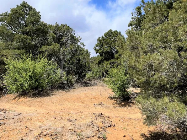 12 County Road 3038, Concho, AZ 85924
