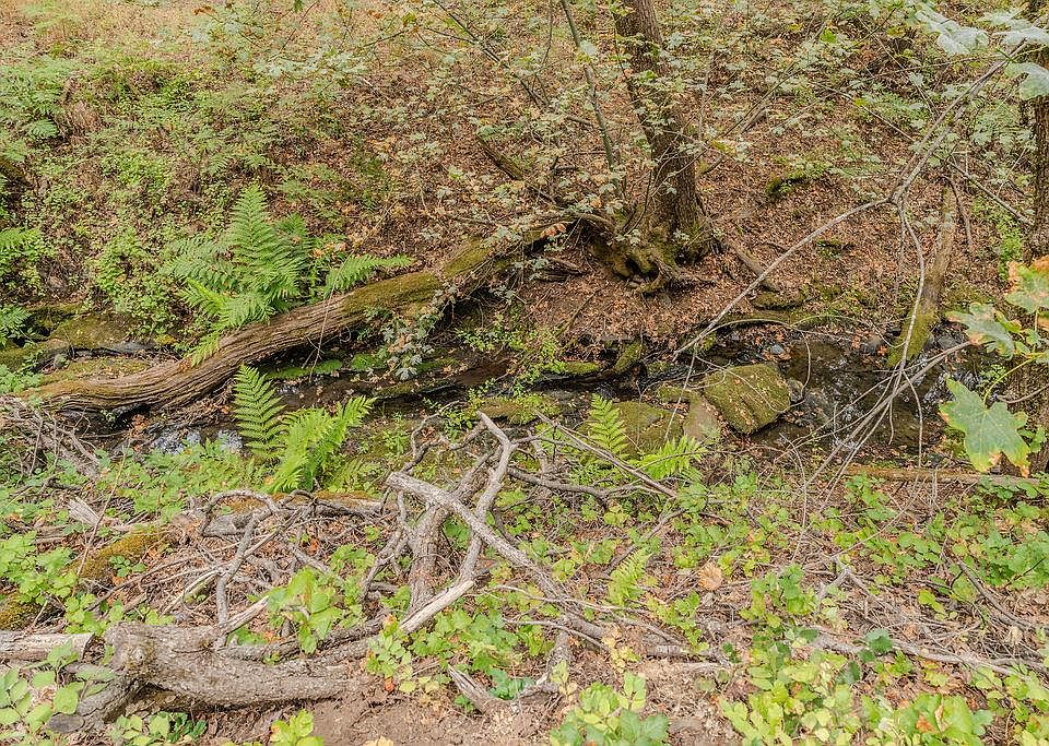 1st image of 18101 Old River Rd