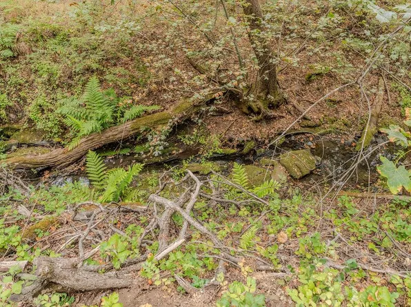18101 Old River Rd, Fiddletown, CA 95629