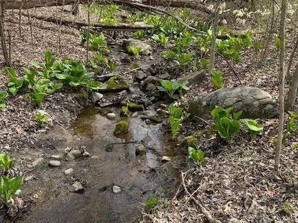 3091 Conestoga Rd, Glenmoore, PA 19343