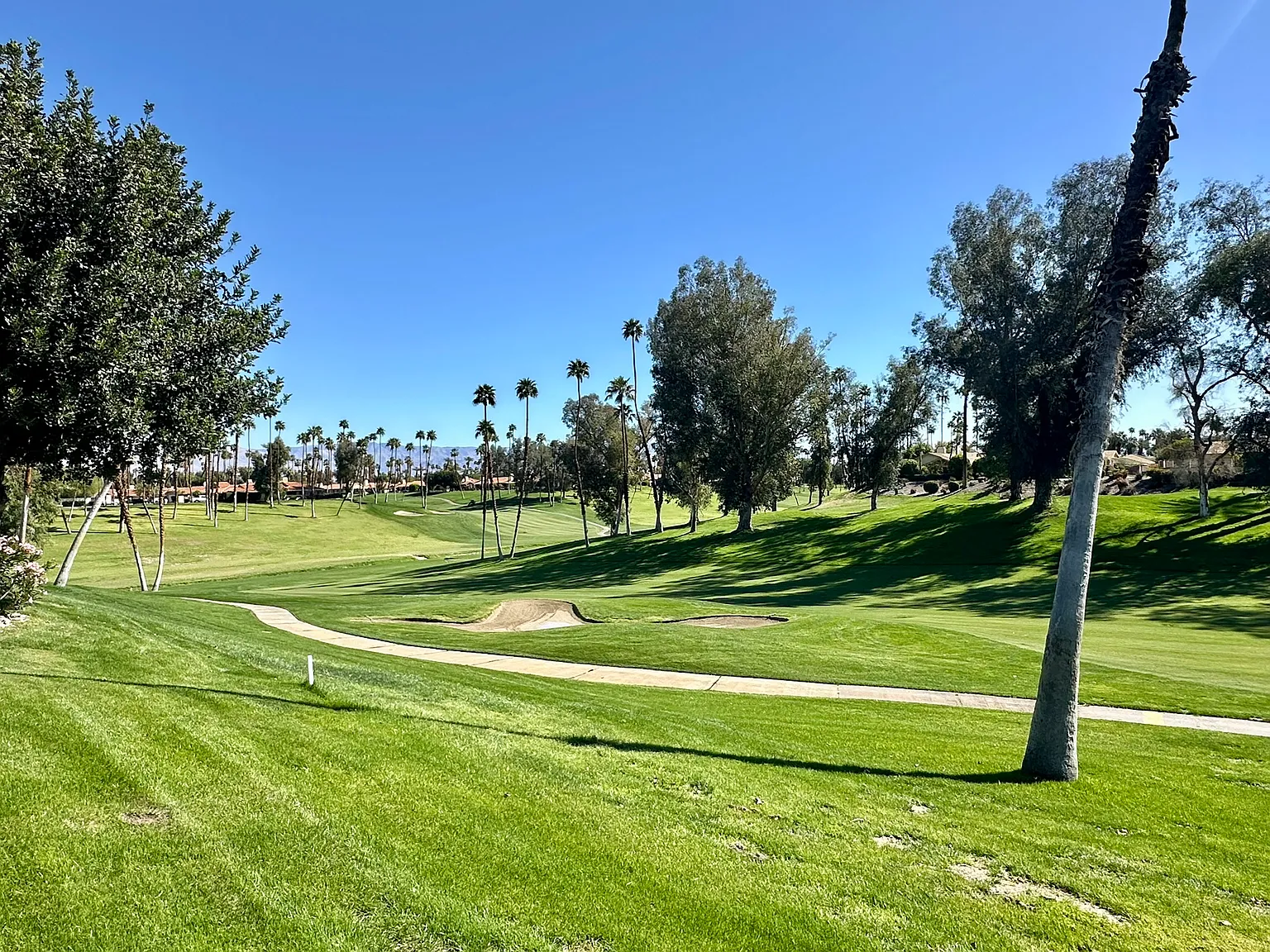 3 bed, 1584 sqft, $7,000 — Photo 4