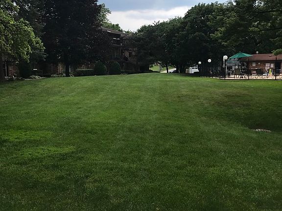 Peaceful Open Grassy Area