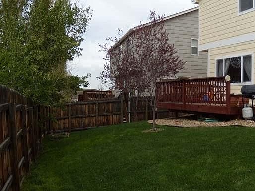Backyard- new landscaping coming in May