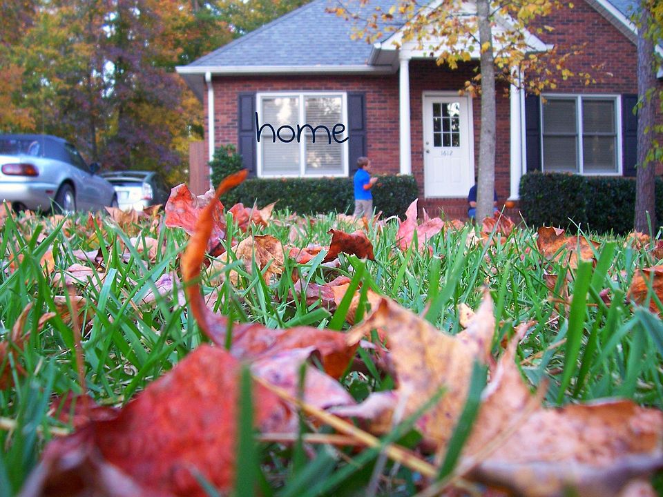 front yard