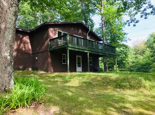 16723 Hoxeyville Rd, Wellston, MI 49689