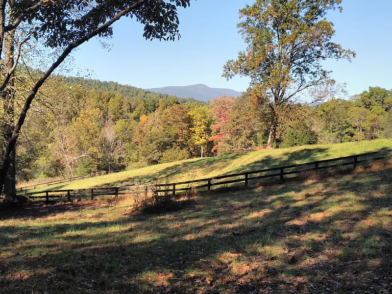 Taylor Creek Rd — Photo 34