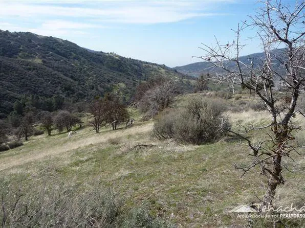 22401 Saddleback Dr Lot 174, Tehachapi, CA 93561