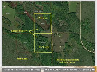 7001 Sommers Rd, Levering, MI 49755