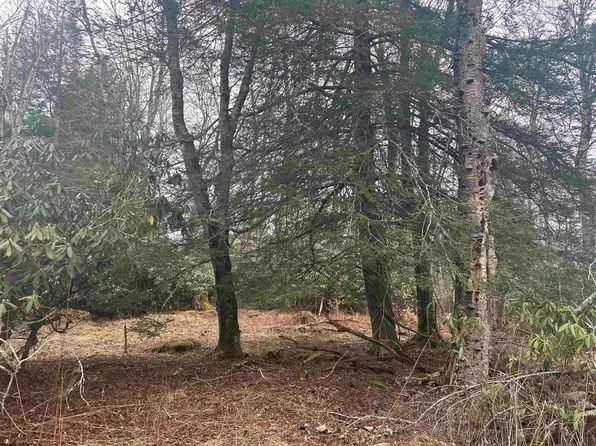 4 Medici Ln, Davis, WV 26260