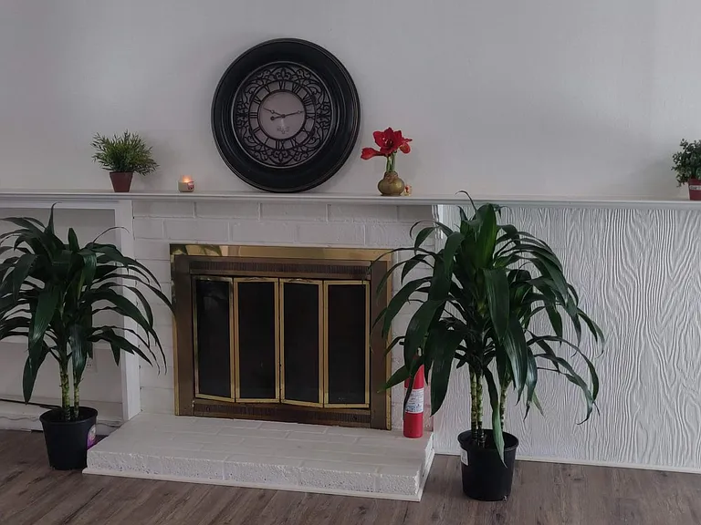7056 Madera Dr — Photo 3