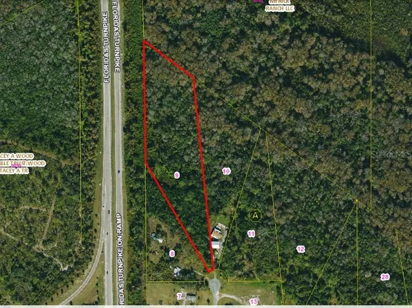 0 Palm Ave Lot 9, Okeechobee, FL 34972