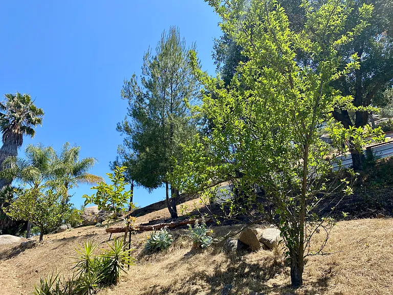 2761 Joan Ln — Photo 89
