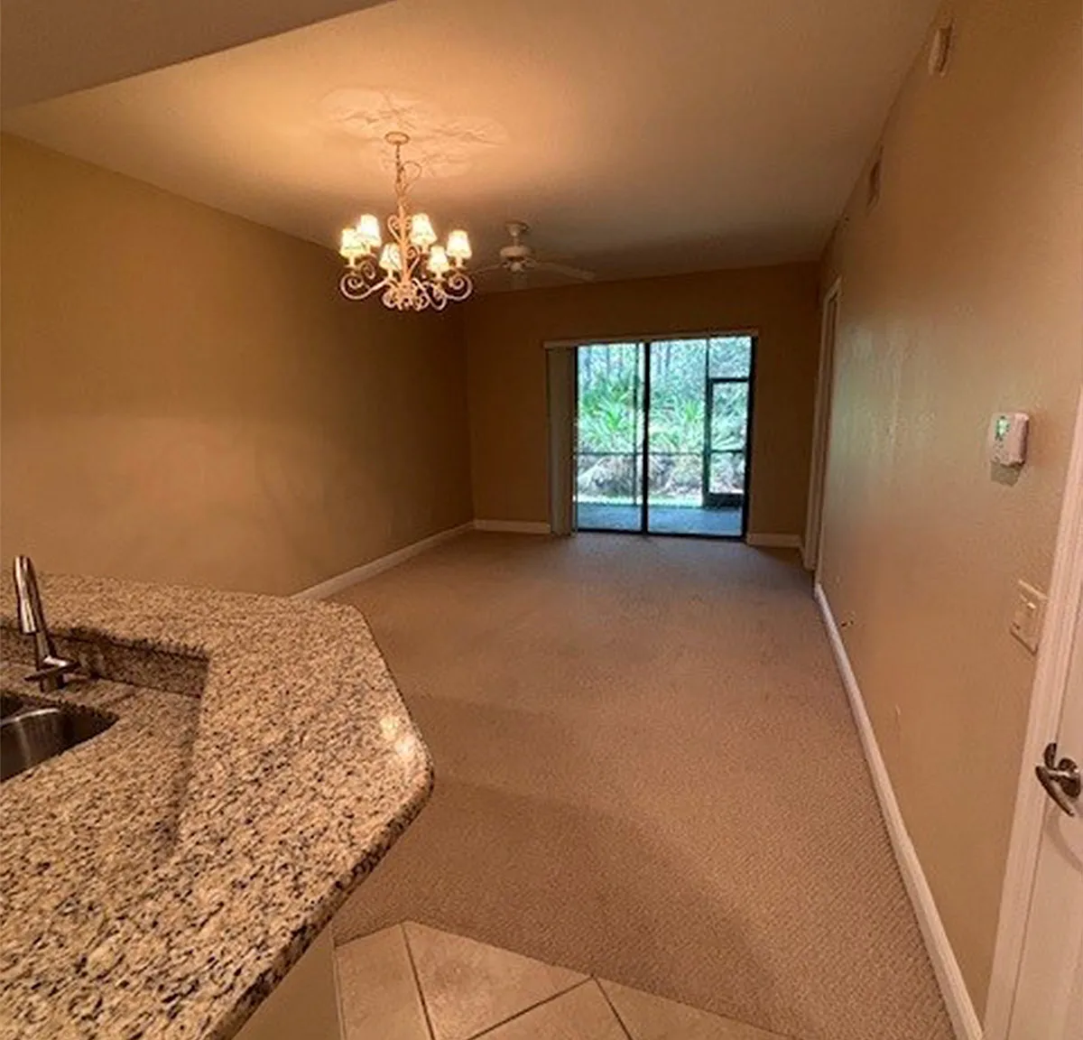 Palmetto Cove 113 - 113 — Photo 3